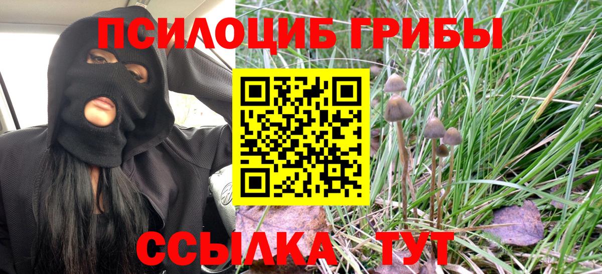Псилоцибиновые грибы MAGIC MUSHROOMS  Галлюциногенные грибы ЛСД  Гусиноозёрск  Вход с VPN 